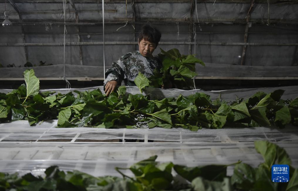 利博网址平台登录